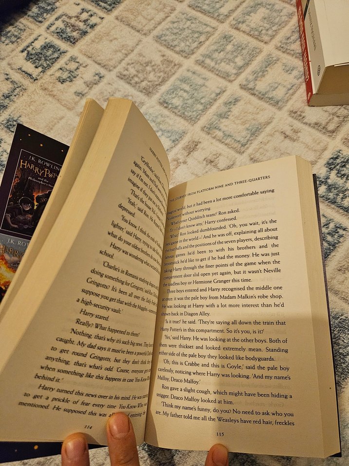 Harry Potter ve Felsefe Taşı - J.K. Rowling - Görsel 3