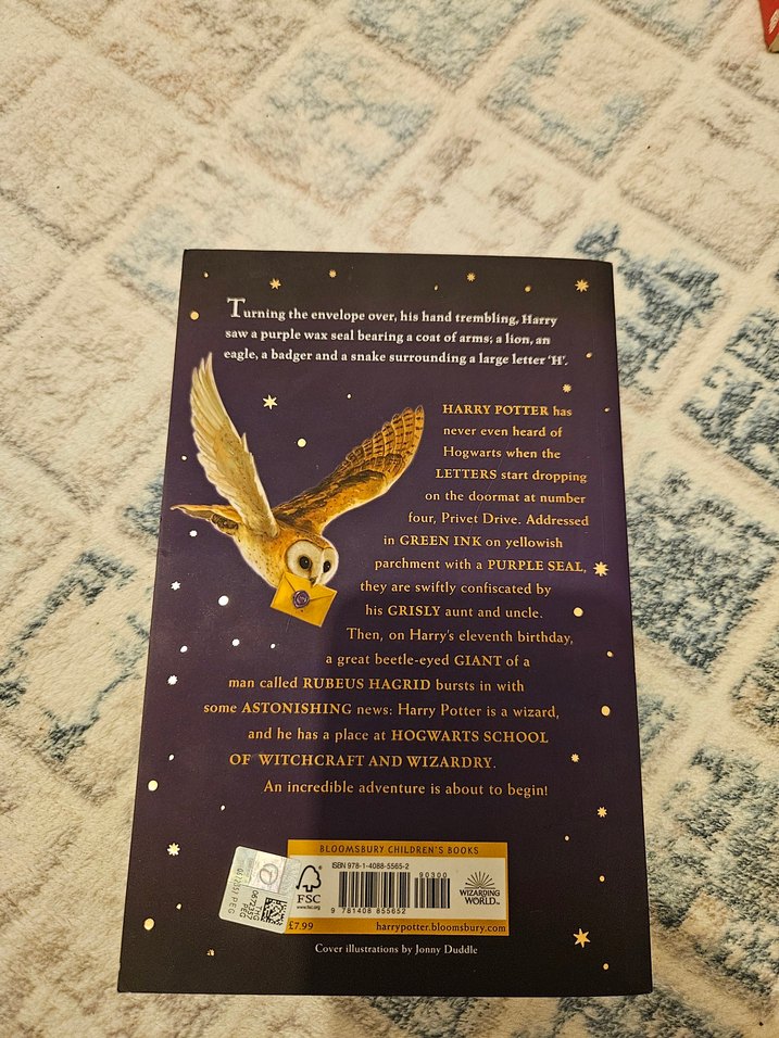 Harry Potter ve Felsefe Taşı - J.K. Rowling - Görsel 2