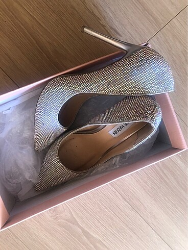 Steve madden