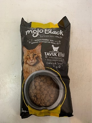Kedi maması