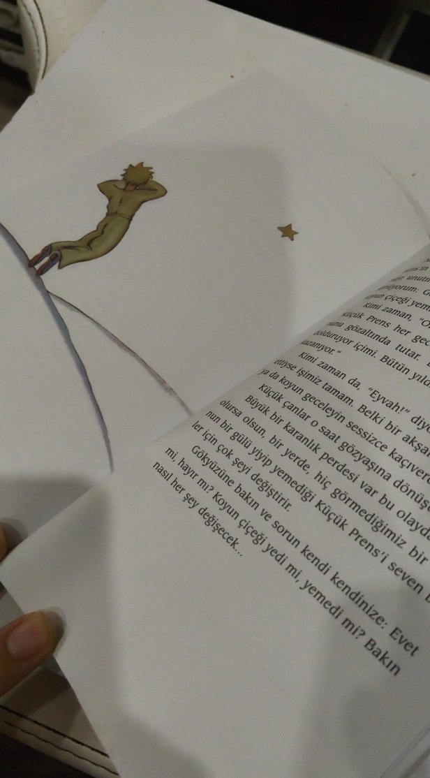Küçük Prens - Antoine de Saint-Exupéry - Görsel 3