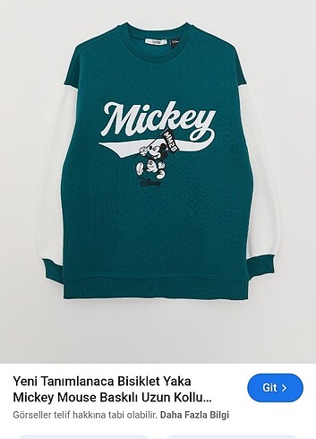 Walt Disney World Sweatshirt