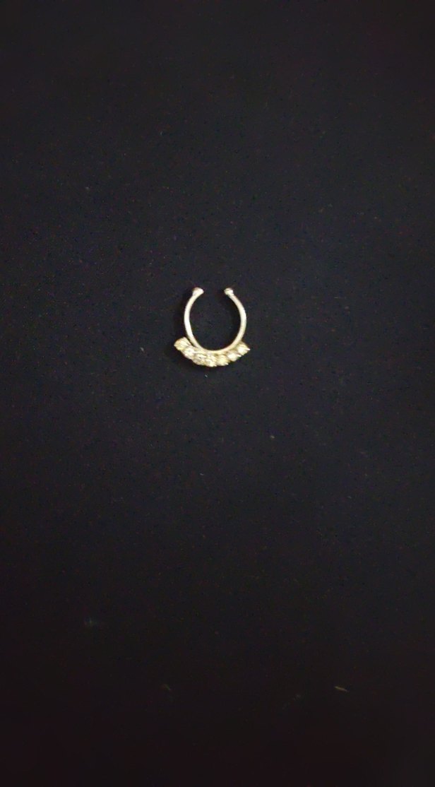 Gümüş Renkli Taşlı Payetli Minimalist Kadın Çelik Piercing - Görsel 2