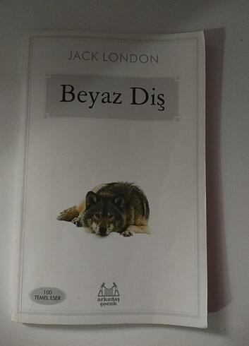 Kitap