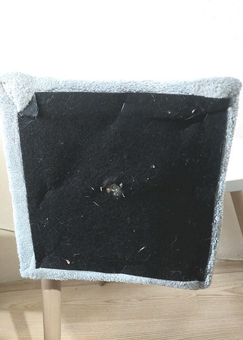 Gri Tırmalama Direği Kedi Aksesuarı - Görsel 4