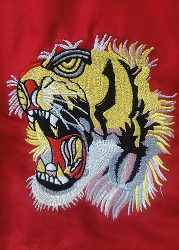 GUCCİ baskılı kaplan işlemeli retro Şort - Görsel 2