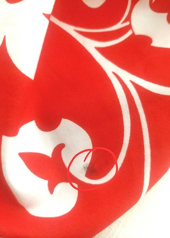 Vakkorama Bohem Desenli Erkek Deniz kapri şort - Görsel 13