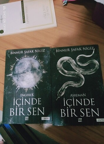İçinde bir sen engerek içinde bir sen Asreman Binnur Şafak nigiz