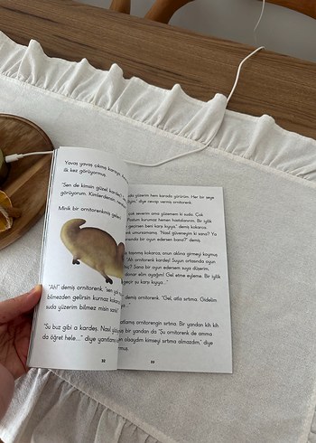 Gri Taçlı Turna Kuşu - Ömür Kurt - Görsel 4