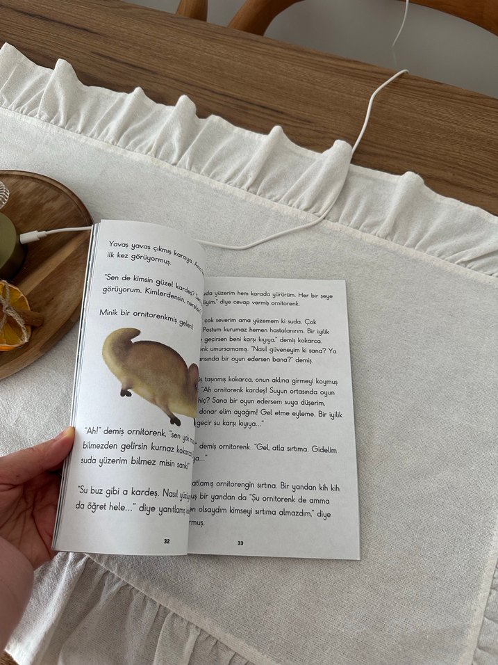 Gri Taçlı Turna Kuşu - Ömür Kurt - Görsel 4