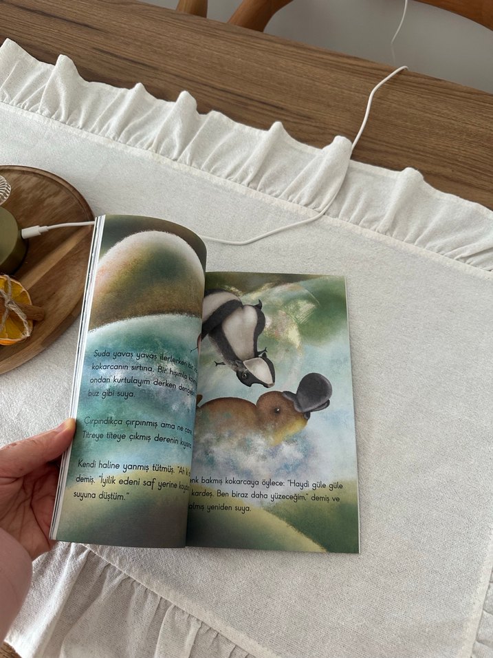 Gri Taçlı Turna Kuşu - Ömür Kurt - Görsel 3