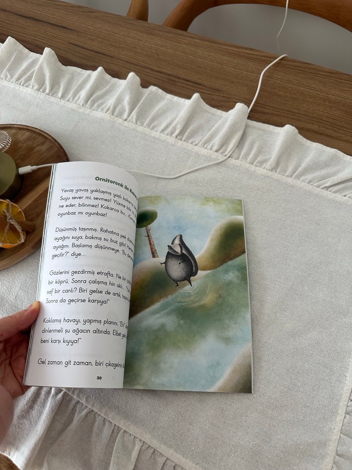 Gri Taçlı Turna Kuşu - Ömür Kurt - Görsel 5