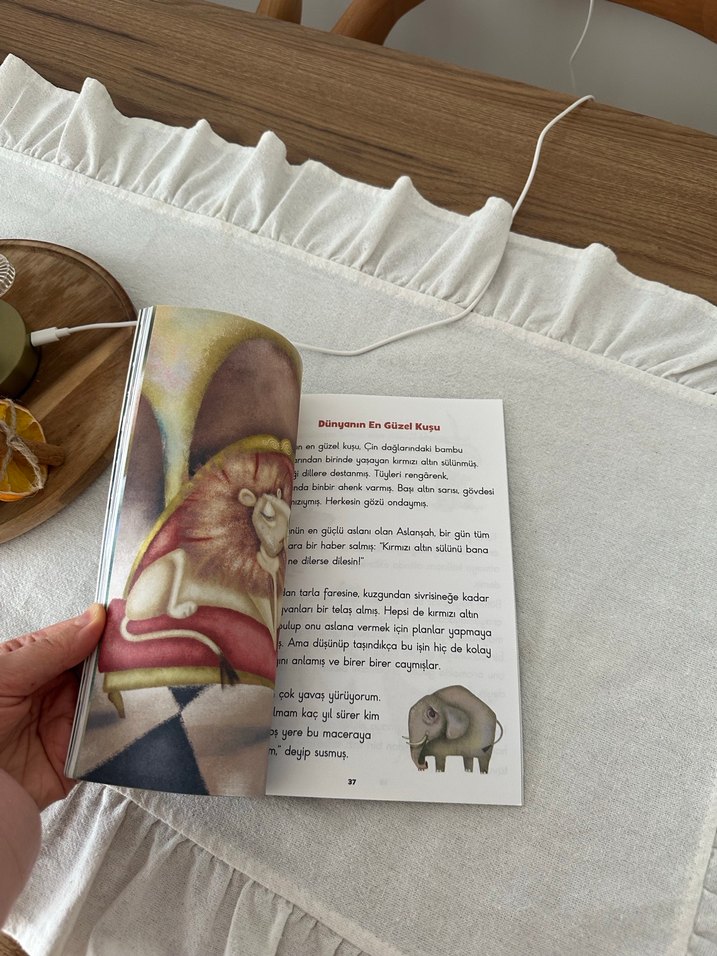 Gri Taçlı Turna Kuşu - Ömür Kurt - Görsel 2