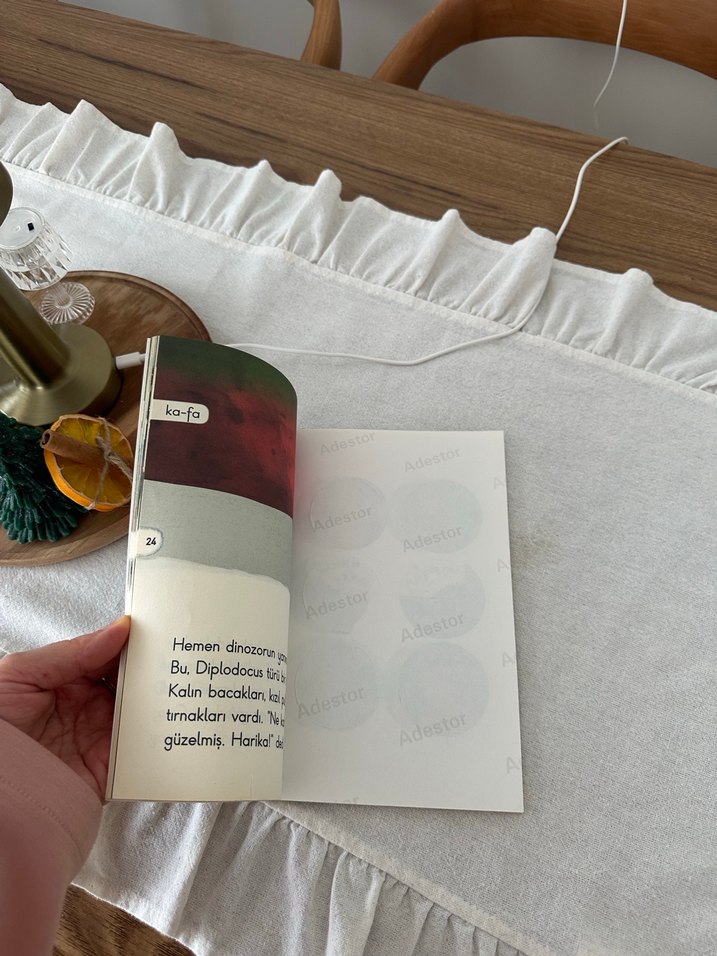 Dinozorla Karşılaşma Şiir Kitabı - Görsel 4