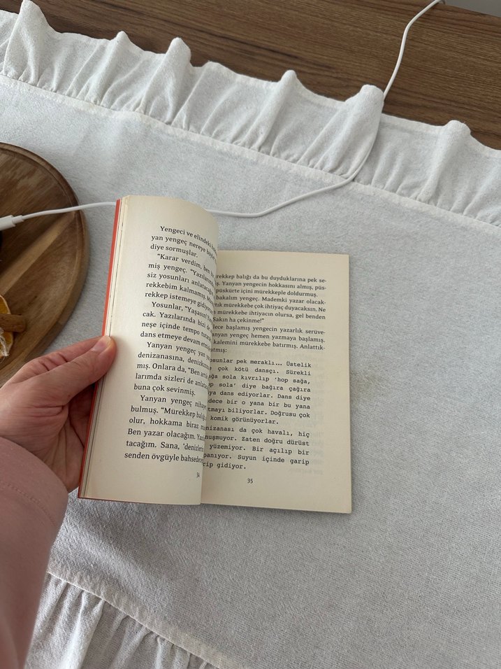 Yengeç Yazar Çocuk Hikaye Kitabı - Görsel 2