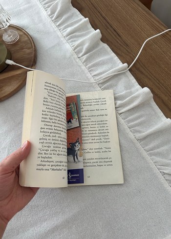 Sokak Kedisi Çerez 3. Kitap - Görsel 2