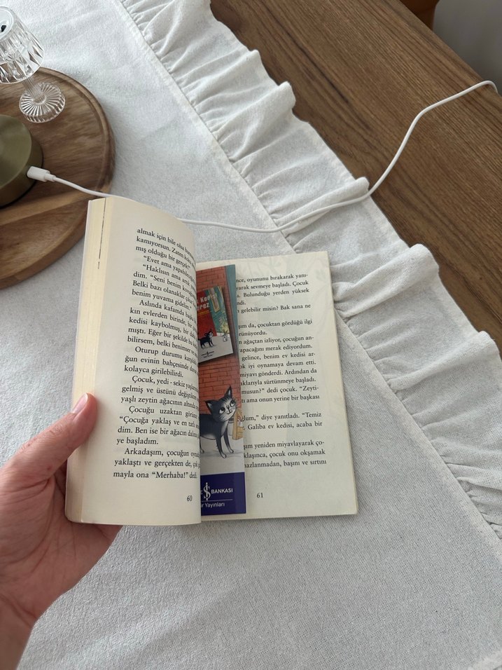 Sokak Kedisi Çerez 3. Kitap - Görsel 2