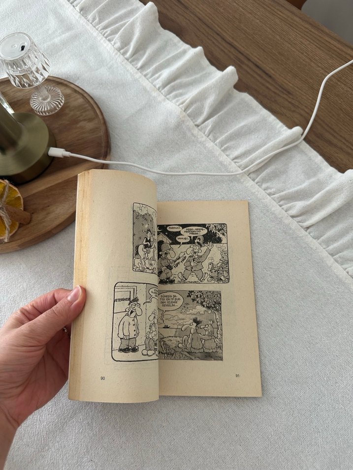 Selçuk Erdem Karikatür Kitabı - Görsel 2