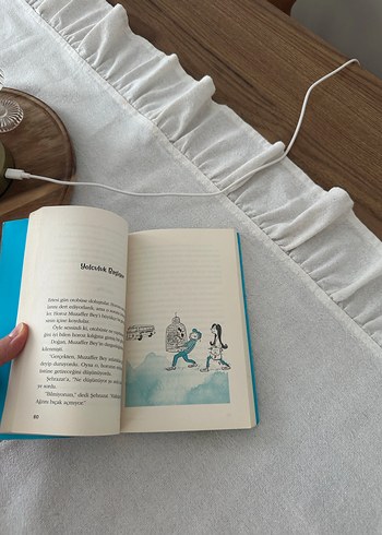 BEHİÇ AK - Alt Kırk Dört Dalgası - Görsel 2