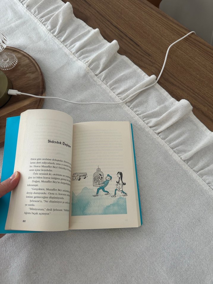 BEHİÇ AK - Alt Kırk Dört Dalgası - Görsel 2