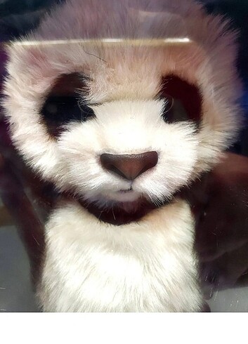 Beden Fur Real Luv Cubs siyah beyaz panda