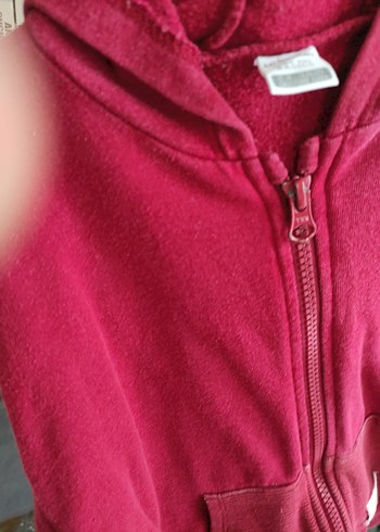 erkek çocuk  Kırmızı Kapüşonlu Fermuarlı Sweatshirt - Görsel 2