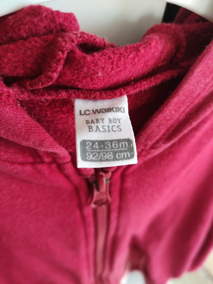 erkek çocuk  Kırmızı Kapüşonlu Fermuarlı Sweatshirt - Görsel 4