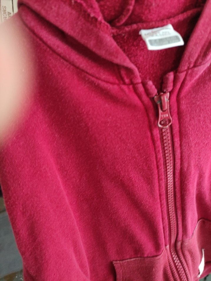 erkek çocuk  Kırmızı Kapüşonlu Fermuarlı Sweatshirt - Görsel 2