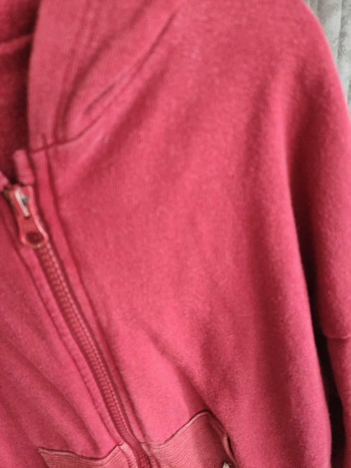 erkek çocuk  Kırmızı Kapüşonlu Fermuarlı Sweatshirt - Görsel 5