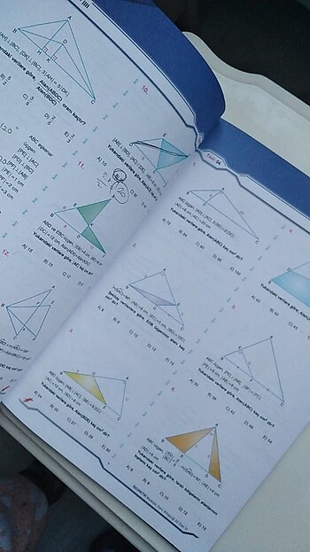  Beden Renk Birey geometri soru Bankası 