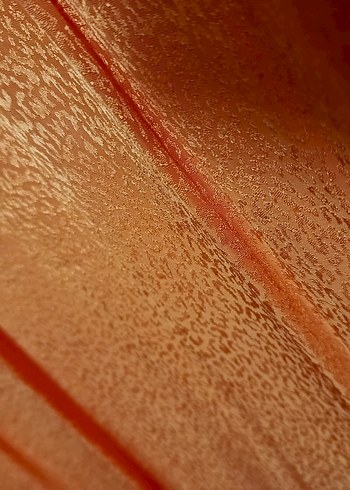 Uzun Parlak Turuncu saten Elbise - Görsel 11