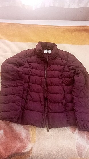 Bordo Mont