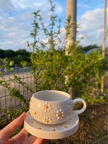 Pinterest Papatya Kupa