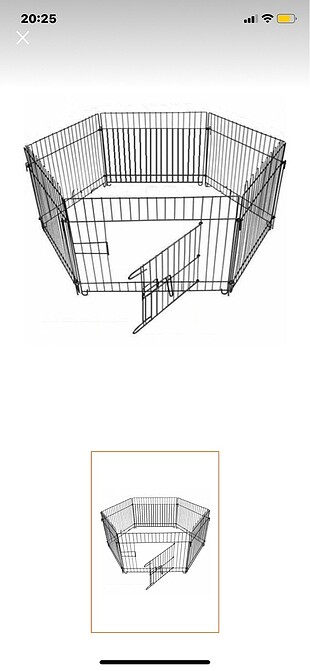 Köpek oyun çiti