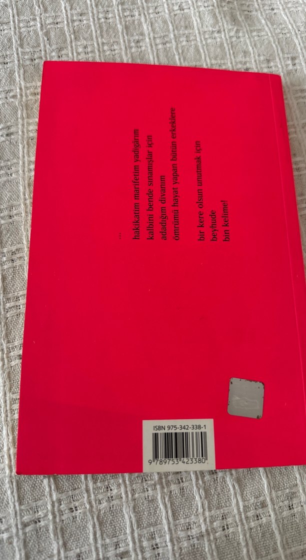 Erkekler İçin Divan - Murathan Mungan - Görsel 2