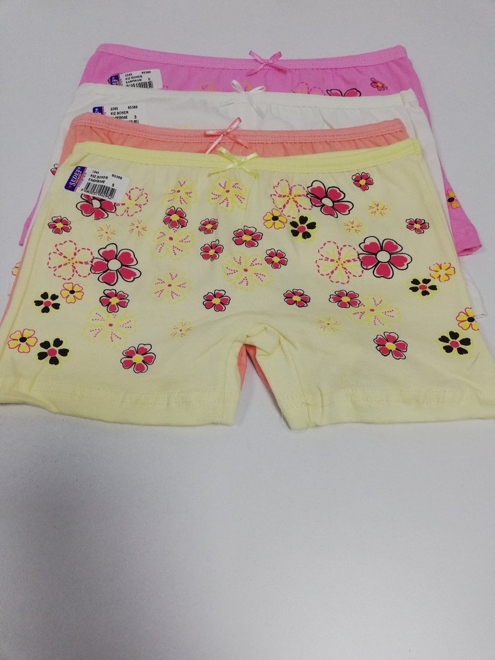 Çok Renkli Baskılı Kız Çocuk Boxer - Görsel 3