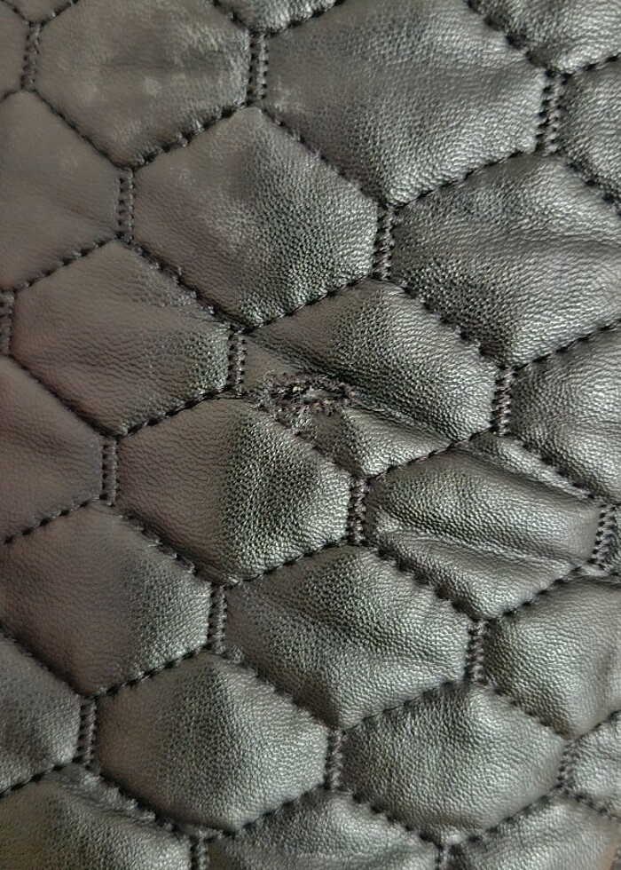 Erkek kaban - Görsel 3