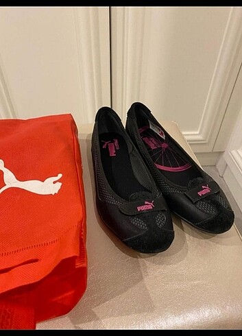 Puma babet