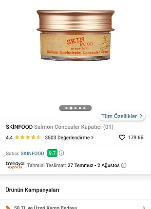 Skinfood kapatıcı 