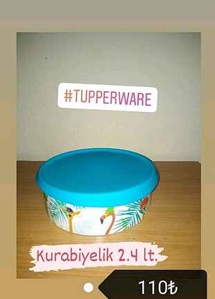 Tupperware Saklama Kutusu 