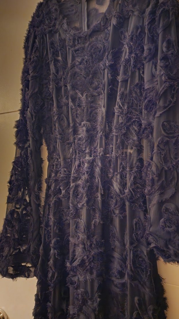 Siyah Nakışlı Uzun Kollu Uzun Elbise - Görsel 2