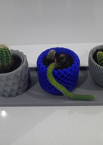 Mavi ve Gri Desenli Kaktüs Saksı Seti - Görsel 4