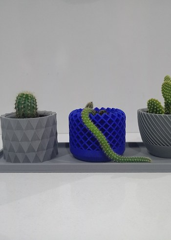 Mavi ve Gri Desenli Kaktüs Saksı Seti - Görsel 3