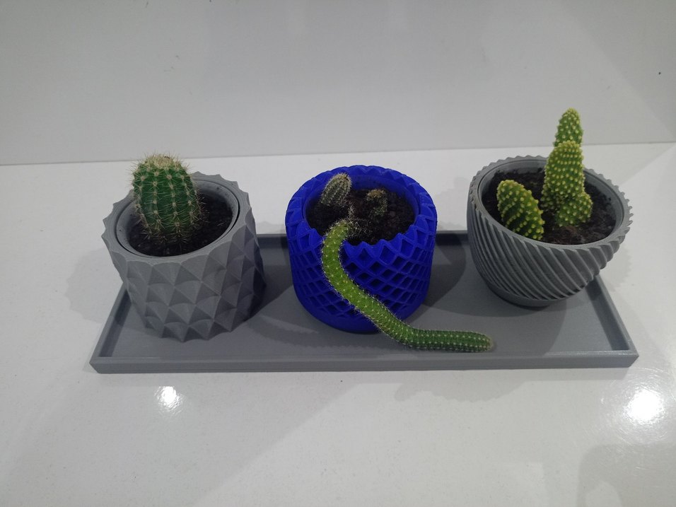 Mavi ve Gri Desenli Kaktüs Saksı Seti - Görsel 4