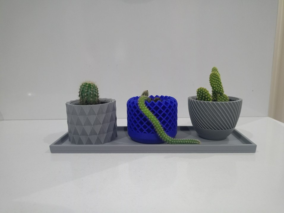 Mavi ve Gri Desenli Kaktüs Saksı Seti - Görsel 3