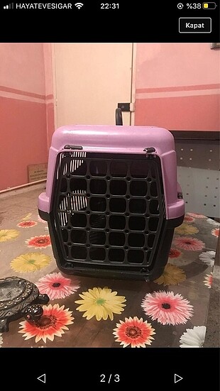 Kedi taşıma çantası