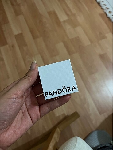 Pandora charm