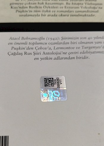 Yüzbaşının Kızı - Aleksandr Puşkin - Görsel 3