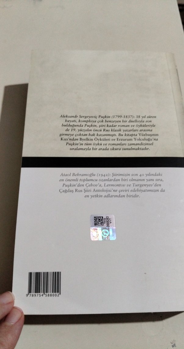 Yüzbaşının Kızı - Aleksandr Puşkin - Görsel 2