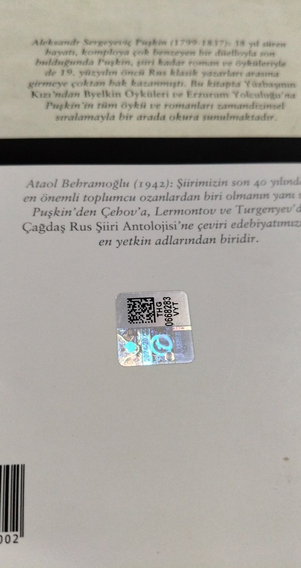 Yüzbaşının Kızı - Aleksandr Puşkin - Görsel 3